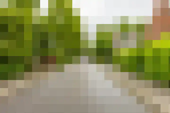 Thorbeckelaan 66 Groningen thumbnail 4