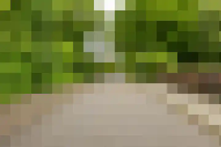 Thorbeckelaan 66 Groningen thumbnail 5