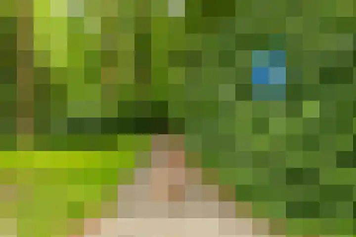 Thorbeckelaan 66 Groningen thumbnail 6