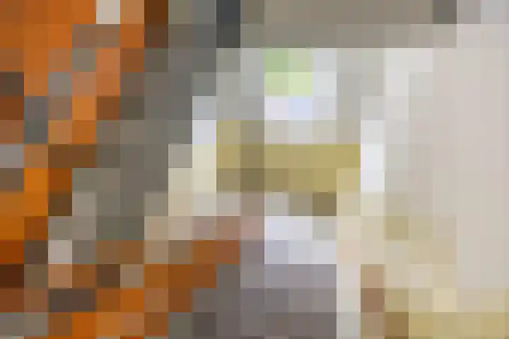 Thorbeckelaan 66 Groningen thumbnail 8