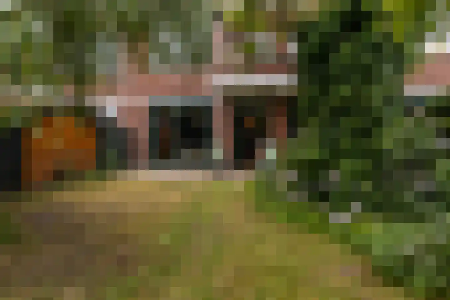 Thorbeckelaan 661 Den Haag thumbnail 39