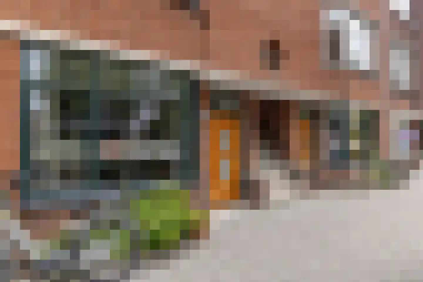 Thorbeckelaan 661 Den Haag thumbnail 41