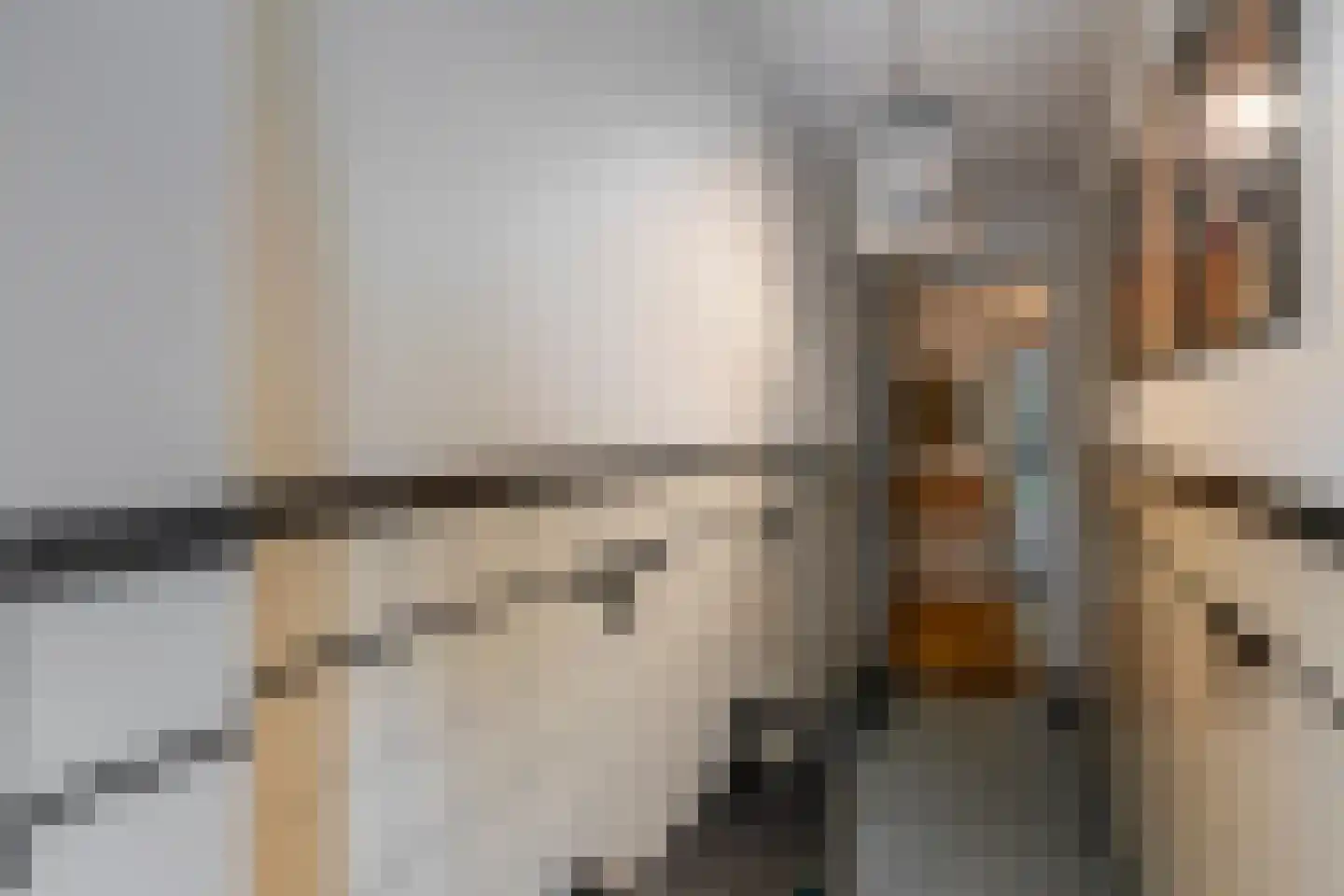 Thorbeckelaan 661 Den Haag thumbnail 5