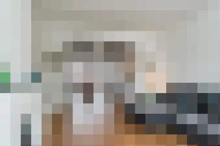 Thorbeckelaan 667 Den Haag thumbnail 12
