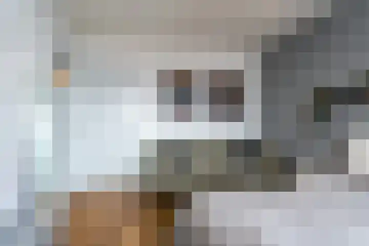 Thorbeckelaan 667 Den Haag thumbnail 38
