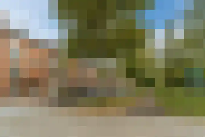 Thorbeckelaan 667 Den Haag thumbnail 5