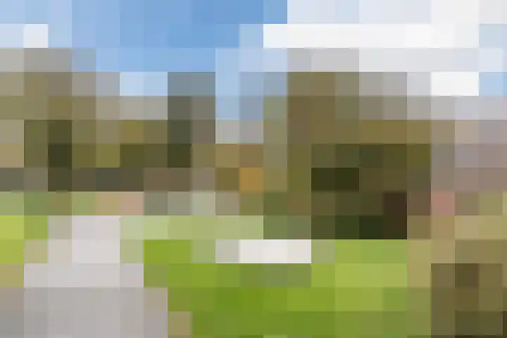 Thorbeckelaan 667 Den Haag thumbnail 51