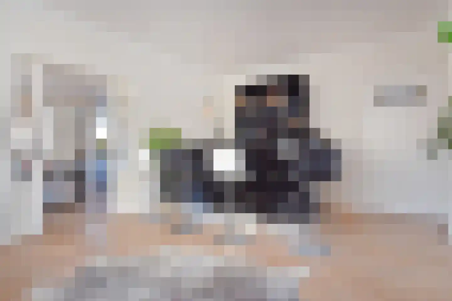 Thorbeckelaan 697 Den Haag thumbnail 17