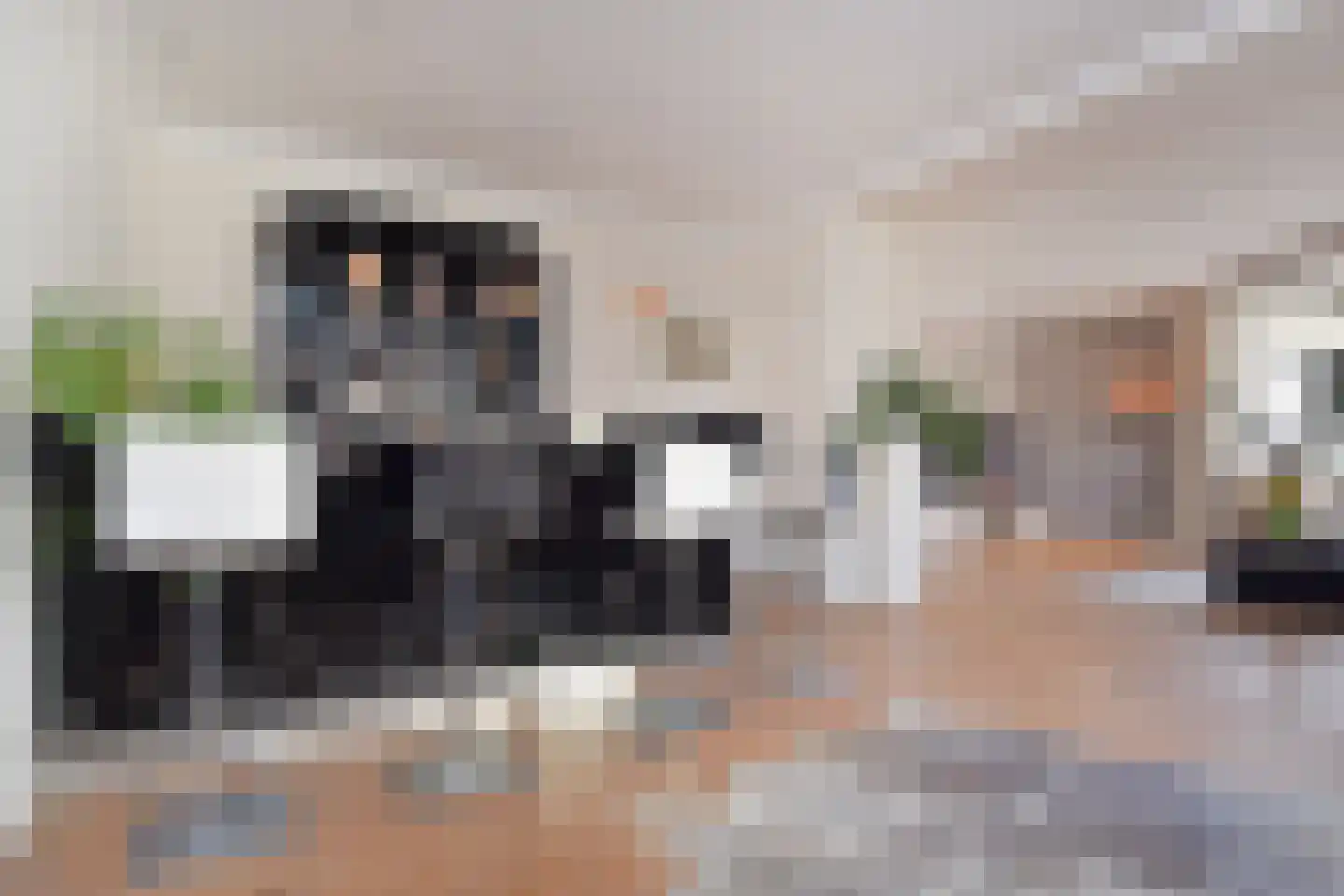Thorbeckelaan 697 Den Haag thumbnail 18