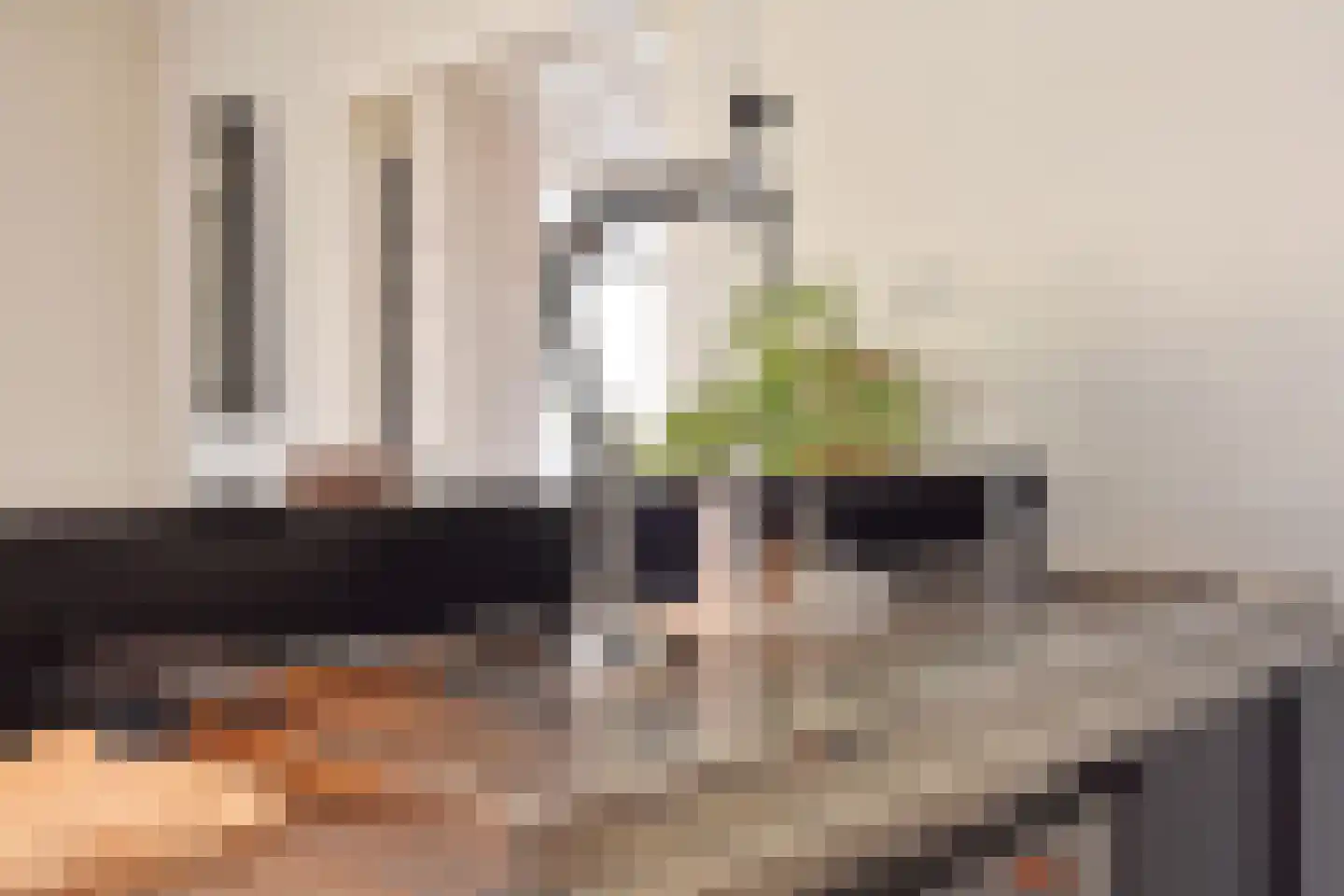 Thorbeckelaan 697 Den Haag thumbnail 22