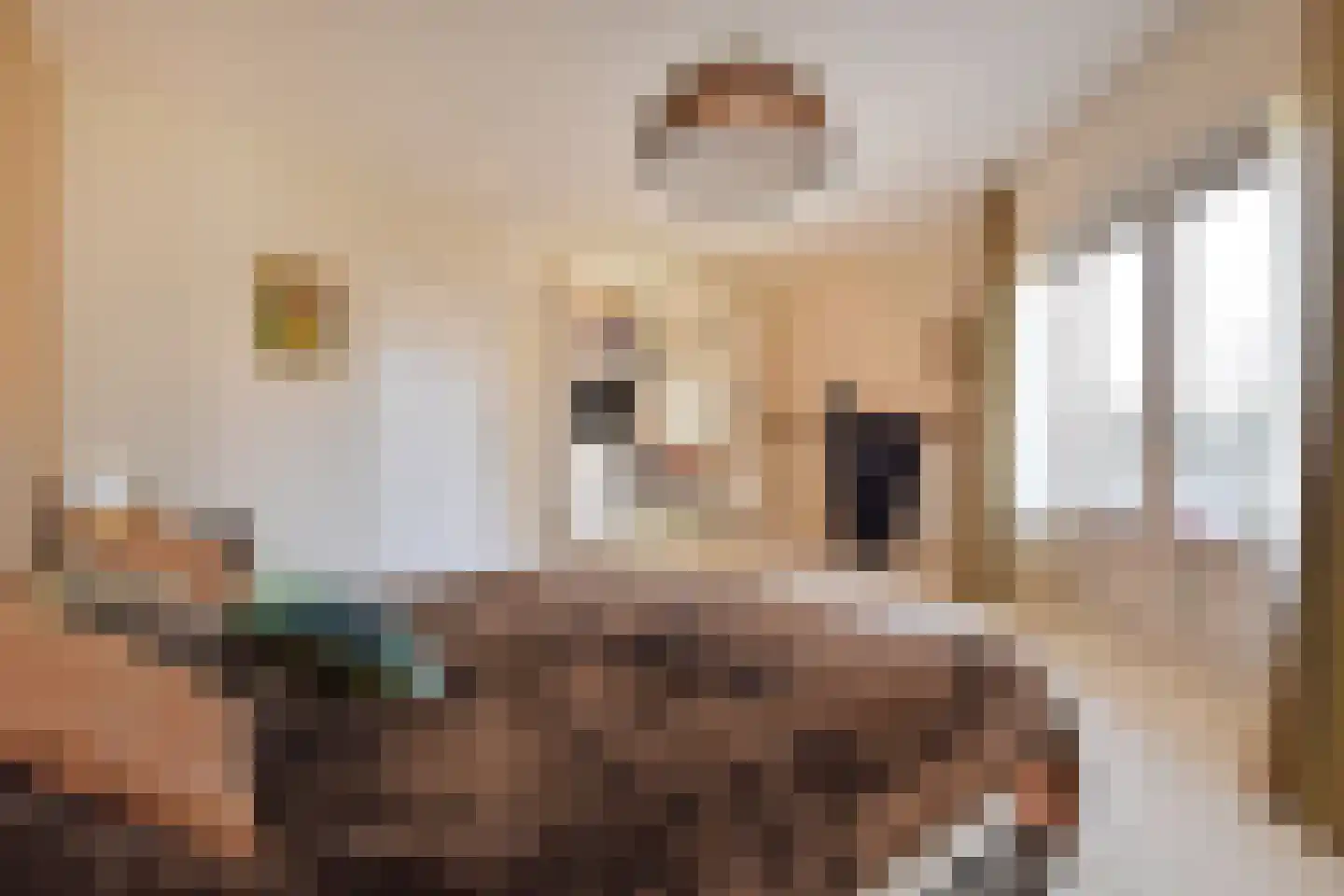 Thorbeckelaan 697 Den Haag thumbnail 35