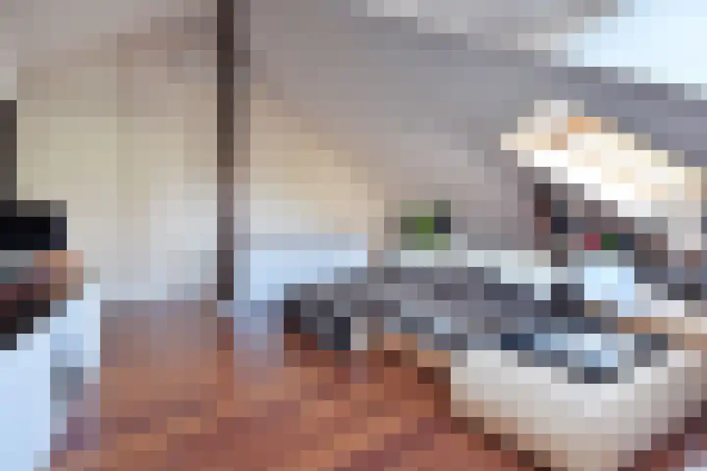 Thorbeckelaan 697 Den Haag thumbnail 52