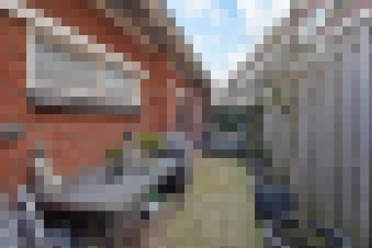 Thorbeckelaan 697 Den Haag thumbnail 64