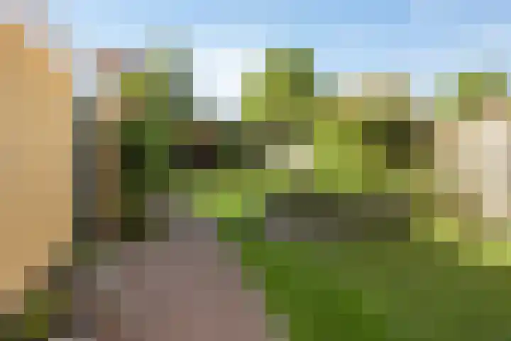 Thorbeckelaan 72 Pijnacker thumbnail 22