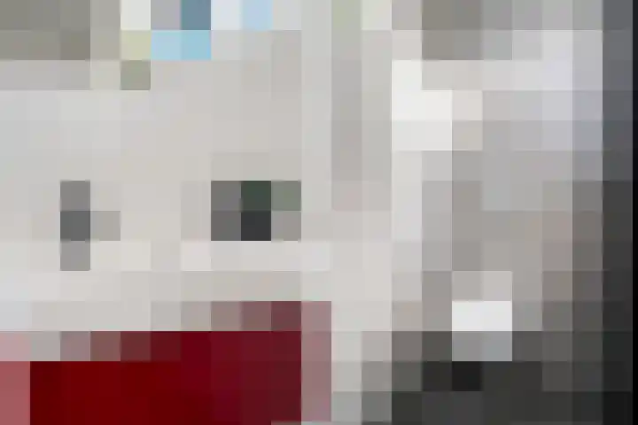 Thorbeckelaan 72 Pijnacker thumbnail 22