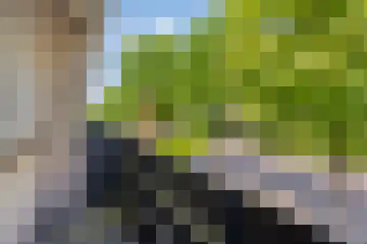 Thorbeckelaan 72 Son en Breugel thumbnail 19