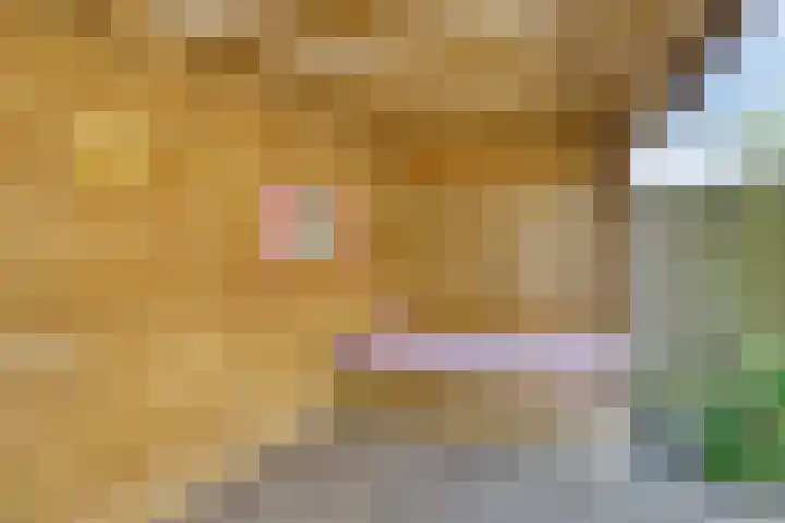 Thorbeckelaan 72 Son en Breugel thumbnail 29