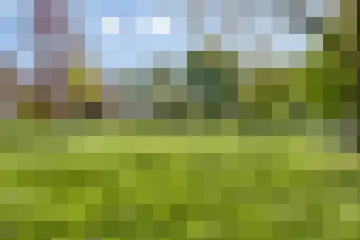 Thorbeckelaan 72 Son en Breugel thumbnail 31