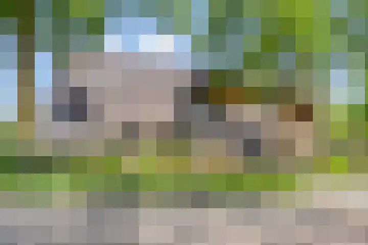 Thorbeckelaan 72 Son en Breugel thumbnail 32