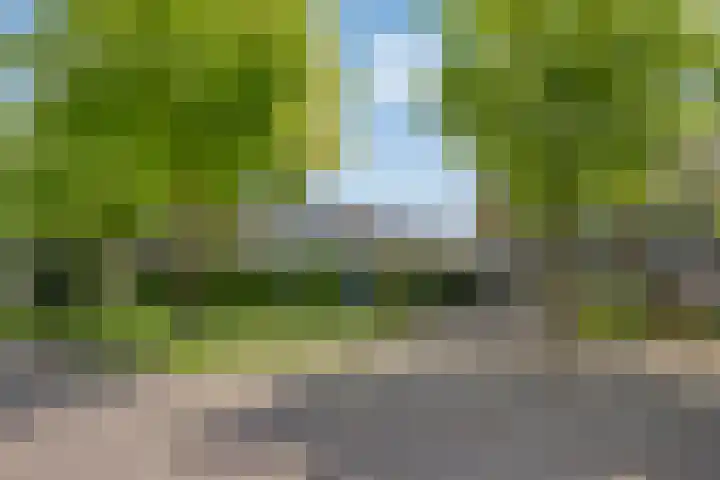 Thorbeckelaan 72 Son en Breugel thumbnail 35