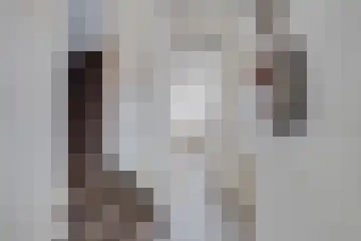 Thorbeckelaan 72 Son en Breugel thumbnail 5
