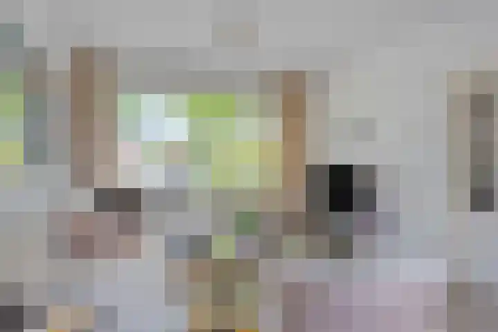 Thorbeckelaan 72 Son en Breugel thumbnail 8