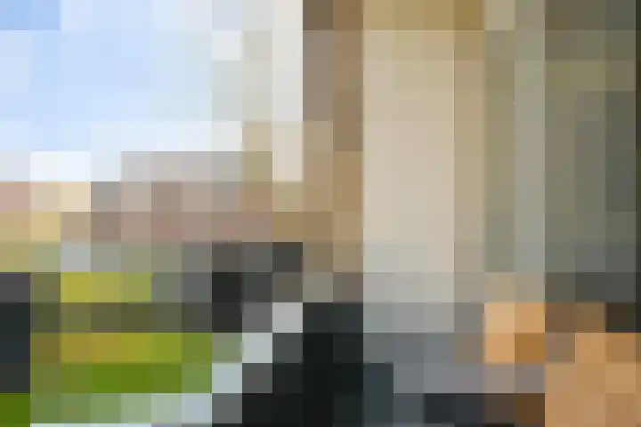 Thorbeckelaan 727 Den Haag thumbnail 13