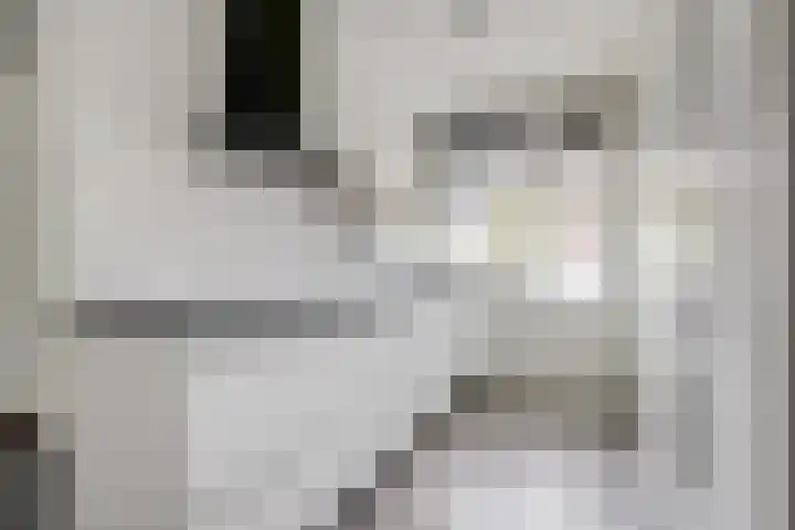 Thorbeckelaan 73 Gouda thumbnail 4