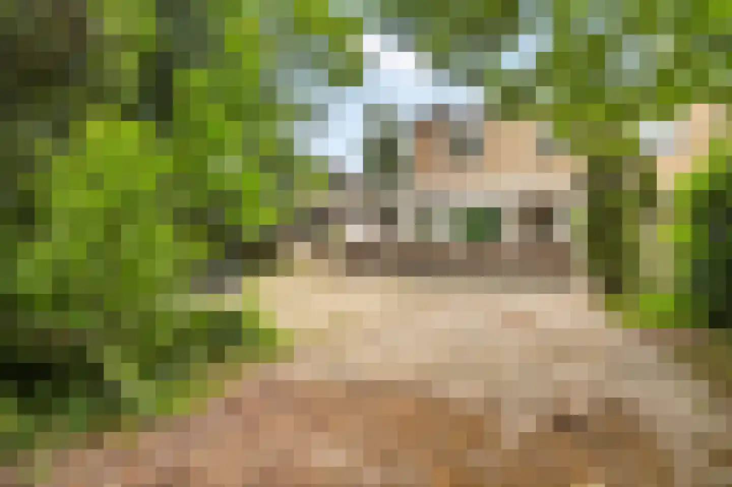 Thorbeckelaan 73 Naarden thumbnail 22