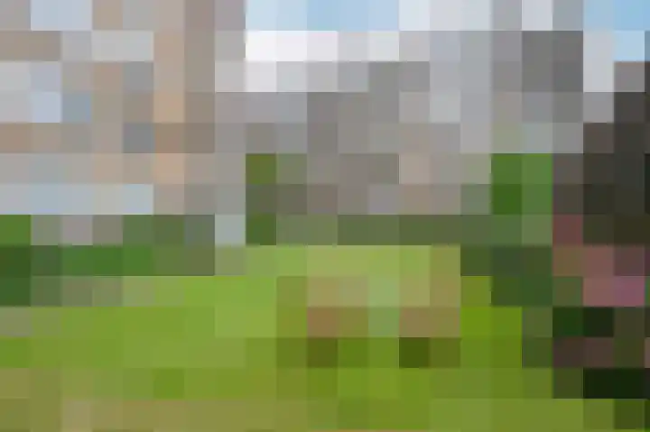Thorbeckelaan 747 Den Haag thumbnail 22