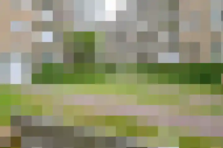 Thorbeckelaan 747 Den Haag thumbnail 23