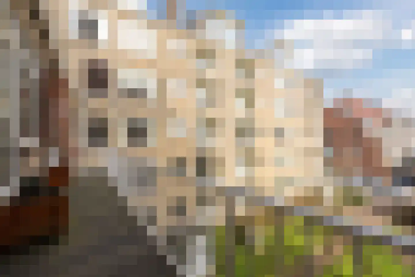Thorbeckelaan 751 Den Haag thumbnail 15
