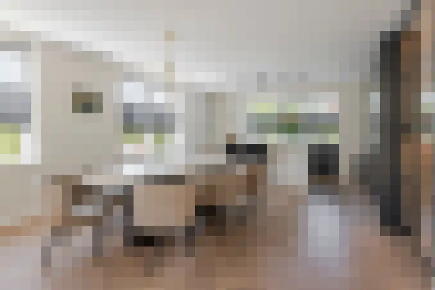 Thorbeckelaan 76 A Barneveld thumbnail 14