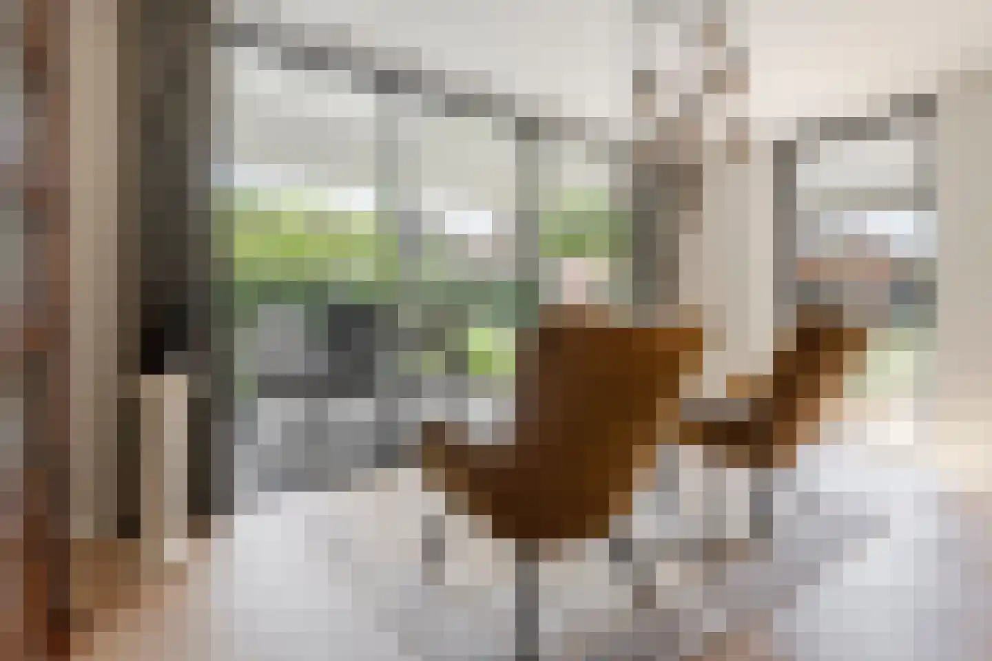 Thorbeckelaan 76 A Barneveld thumbnail 30