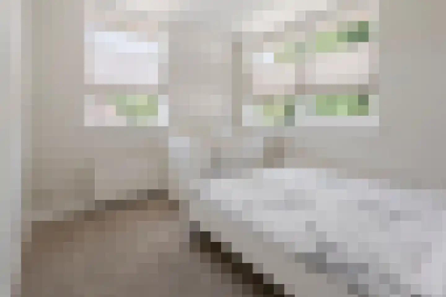 Thorbeckelaan 76 A Barneveld thumbnail 55