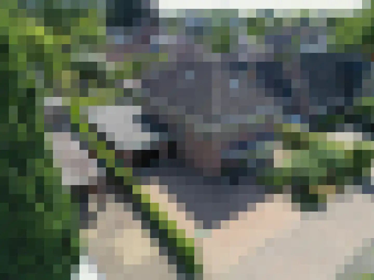 Thorbeckelaan 76 A Barneveld thumbnail 69