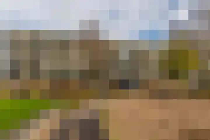 Thorbeckelaan 77 Pijnacker thumbnail 35