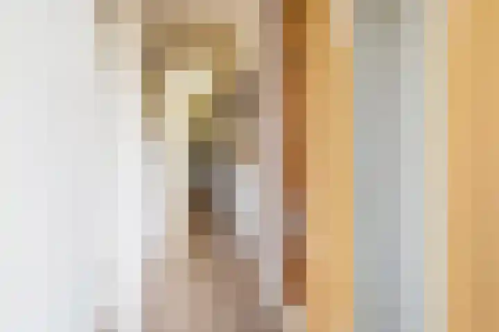 Thorbeckelaan 77 Pijnacker thumbnail 7