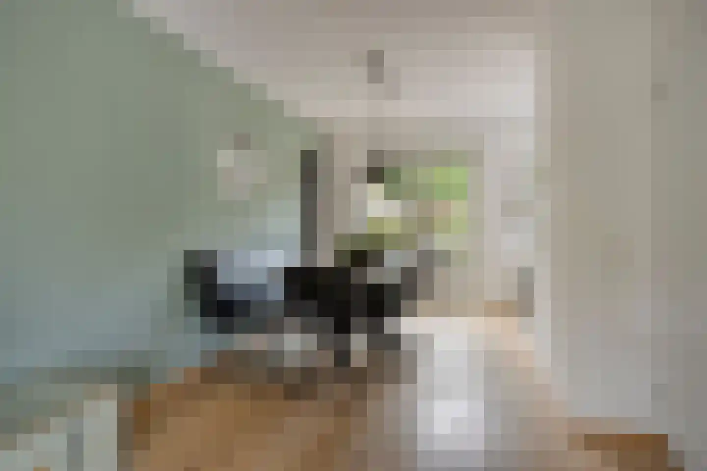 Thorbeckelaan 8 Dongen thumbnail 13