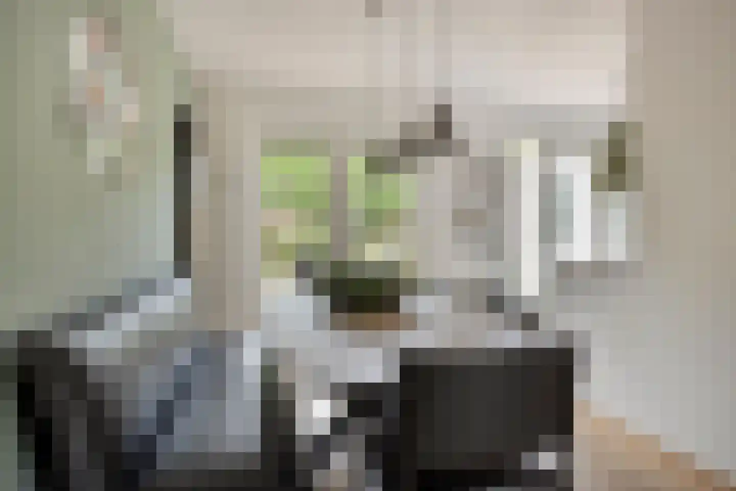 Thorbeckelaan 8 Dongen thumbnail 14