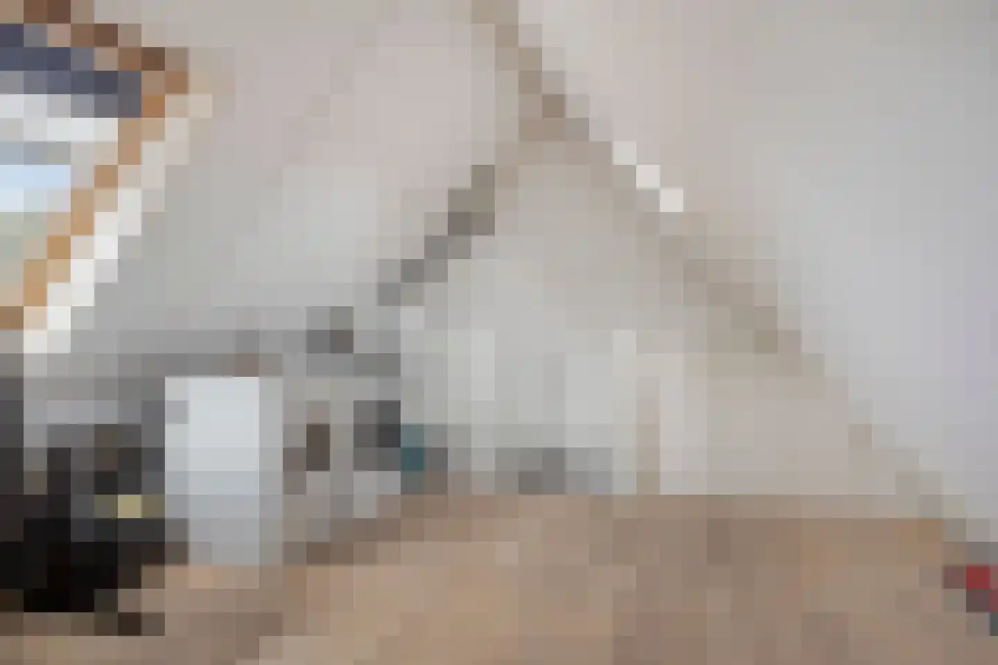 Thorbeckelaan 8 Dongen thumbnail 26