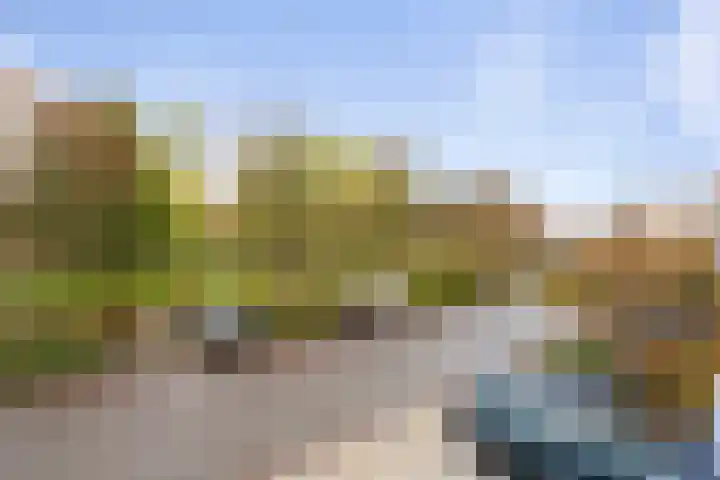 Thorbeckelaan 8 Etten-Leur thumbnail 28