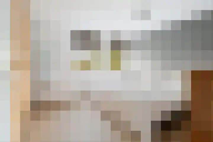 Thorbeckelaan 8 Etten-Leur thumbnail 30