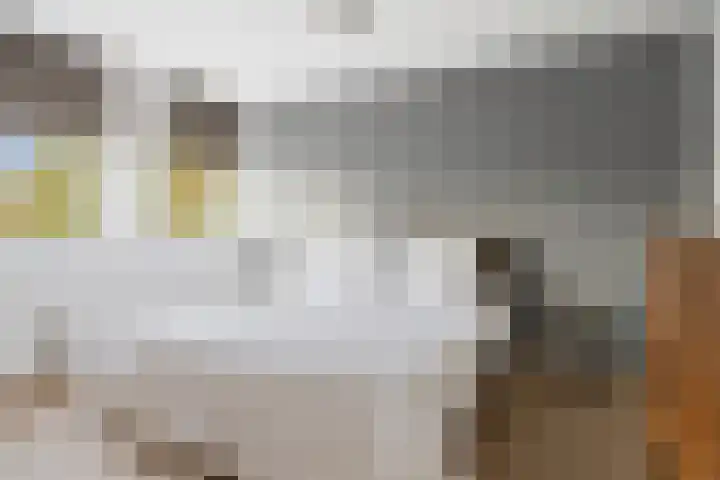 Thorbeckelaan 8 Etten-Leur thumbnail 31