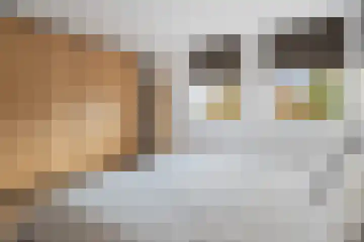 Thorbeckelaan 8 Etten-Leur thumbnail 32