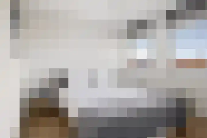 Thorbeckelaan 8 Etten-Leur thumbnail 34