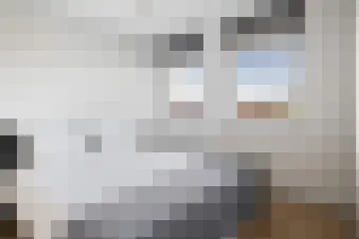 Thorbeckelaan 8 Etten-Leur thumbnail 35