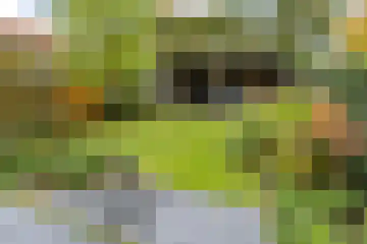 Thorbeckelaan 8 Etten-Leur thumbnail 4