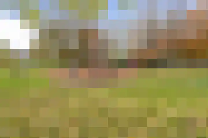 Thorbeckelaan 8 Etten-Leur thumbnail 56