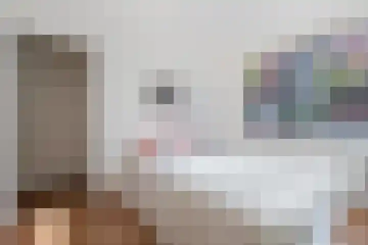 Thorbeckelaan 8 Utrecht thumbnail 15